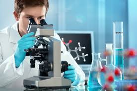 medical biochemistry phd scholarships