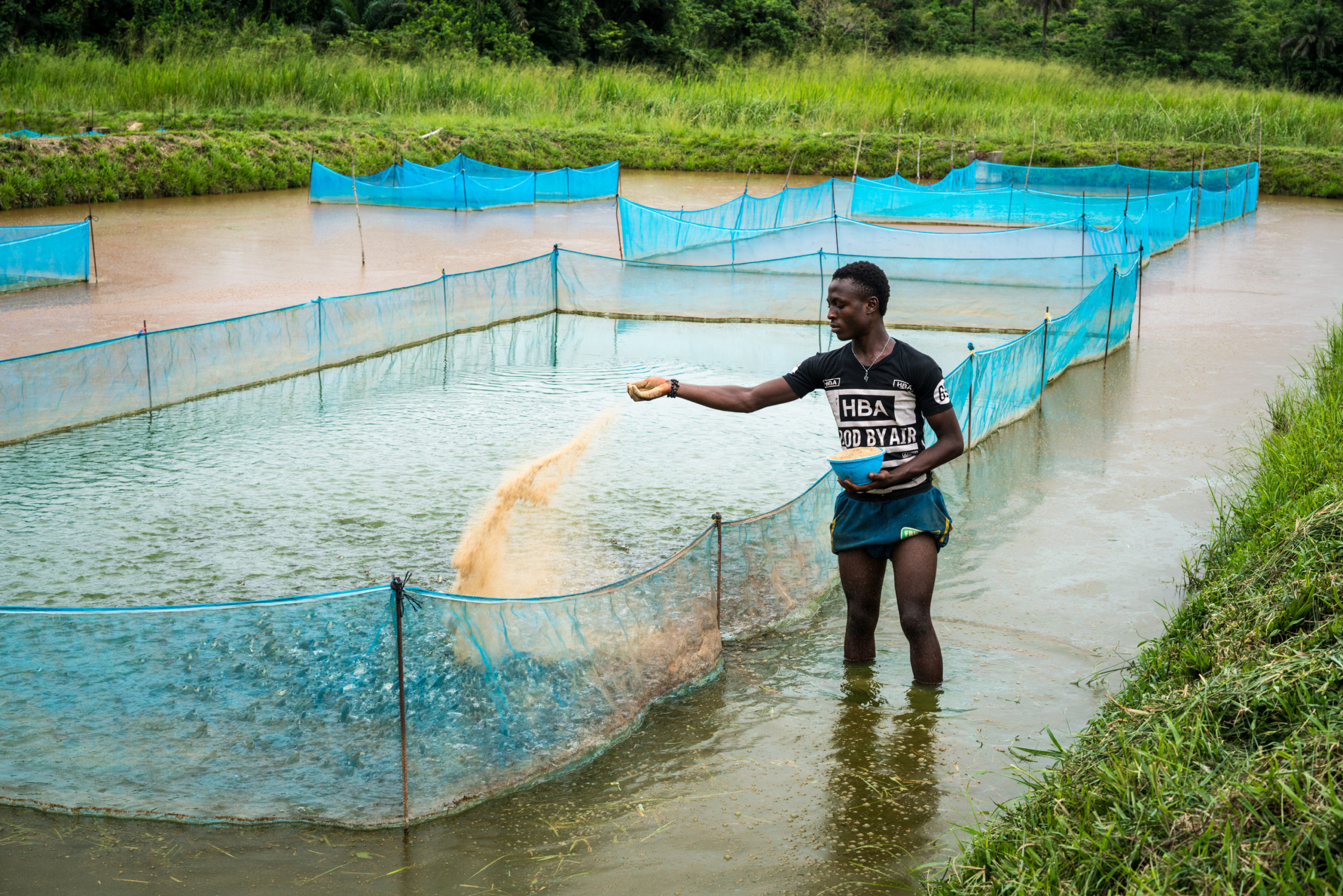How to Start A Profitable Fish Farming Business in Ghana