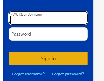 Wellspan Patient Portal Login – my.wellspan.org - GH Students